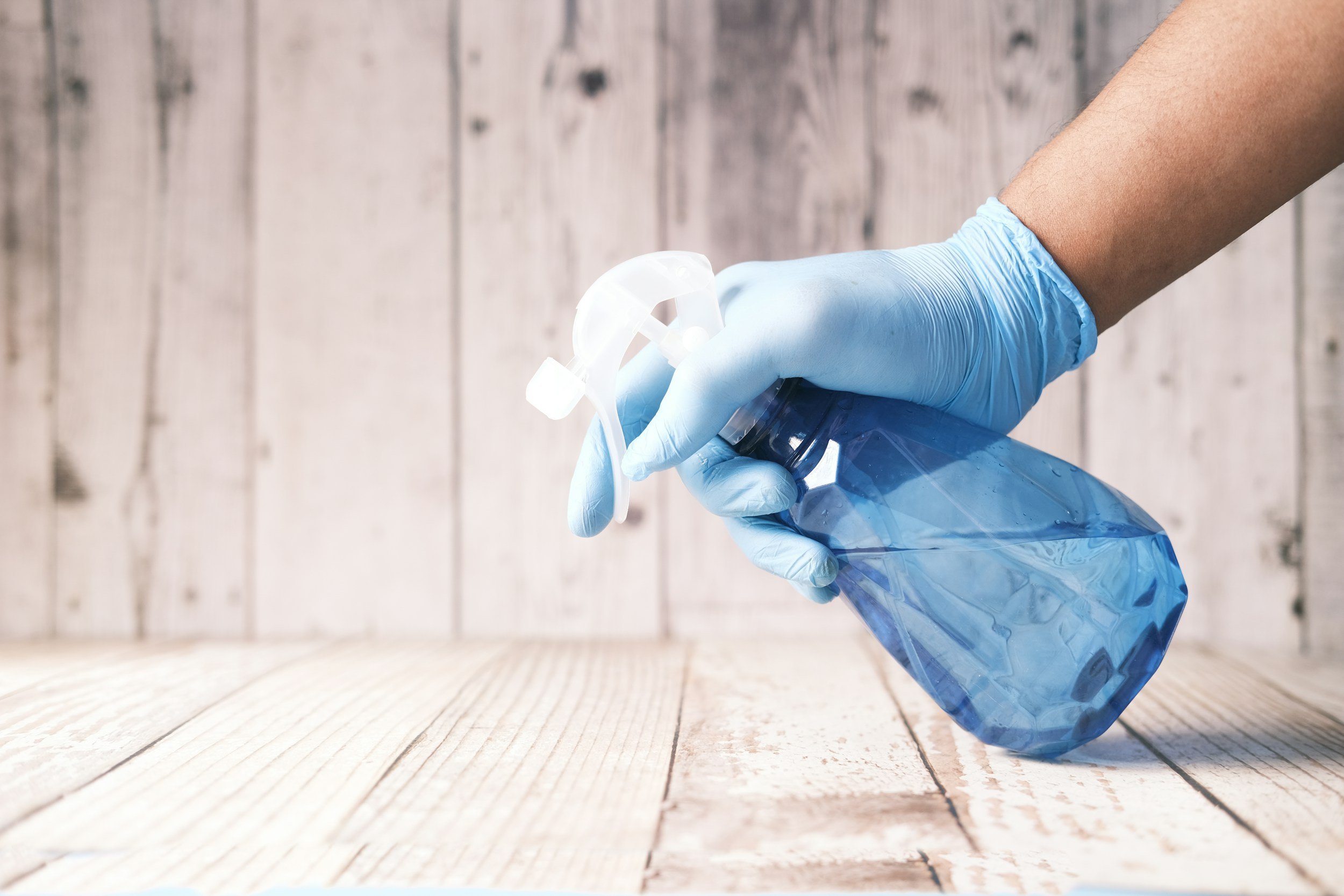 Servizio di pulizie professionali Leon Service